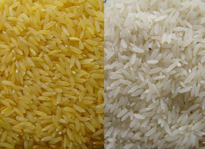 основные виды риса