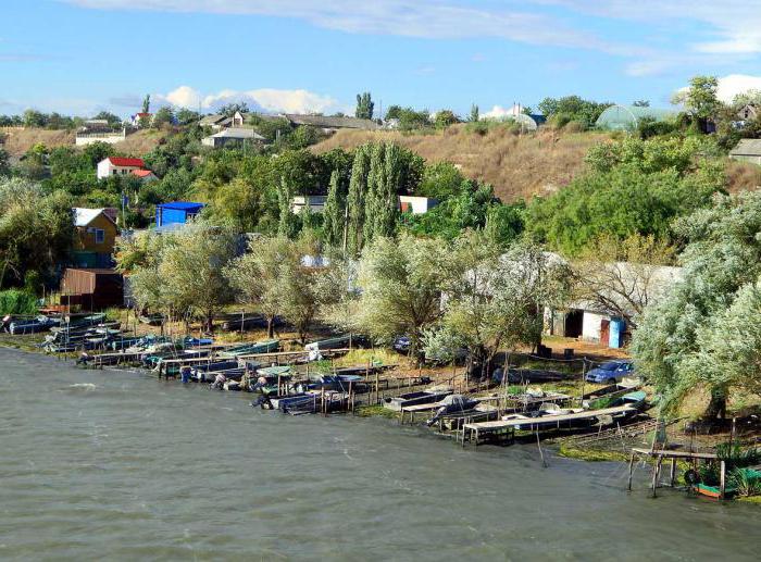 Рыбалка на Днестре в Маяках