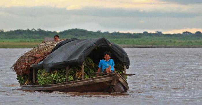 хозяйственное использование реки амазонка человеком