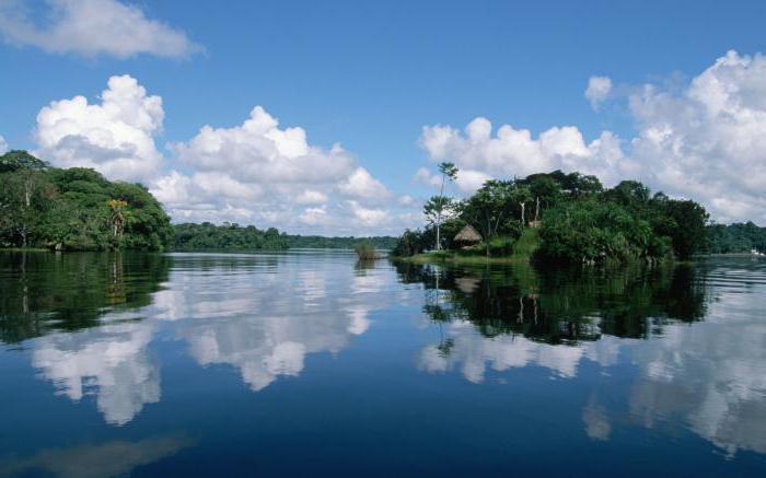 охарактеризуйте хозяйственное использование реки амазонка