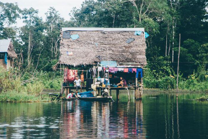 хозяйственное использование реки амазонки