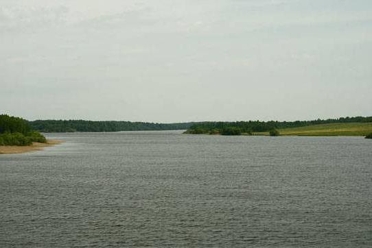 Вазузское водохранилище рыболовные базы