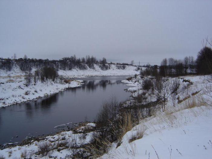 Отдых на Вазузском водохранилище