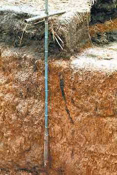 Каштановые почвы свойства