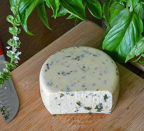 сыр адыгейский рецепт приготовления в домашних условиях