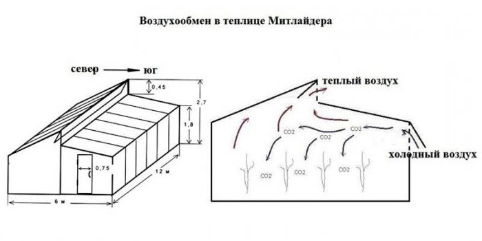 Теплица по Митлайдеру недостатки