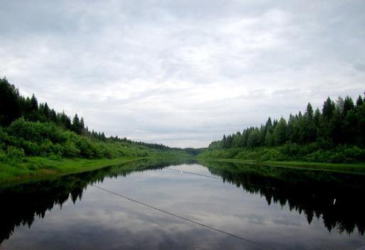 Река Мезень 