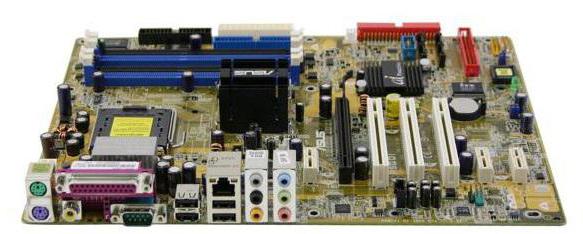 asus p5gd1