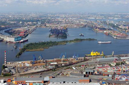 перспективы развития большого порта санкт петербург