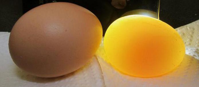 почему куры несут яйца без скорлупы