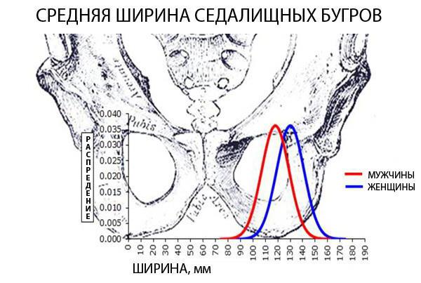 как выбрать велосипед для мужчины