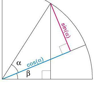 синус косинус острого угла 
