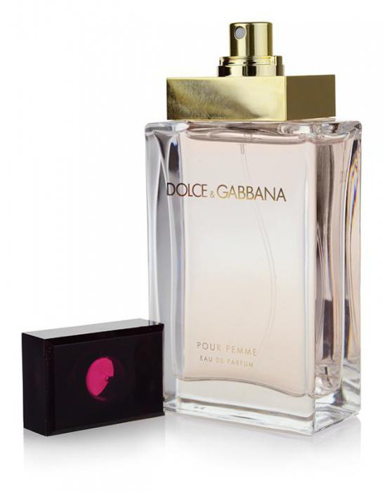 dolce gabbana pour femme отзывы