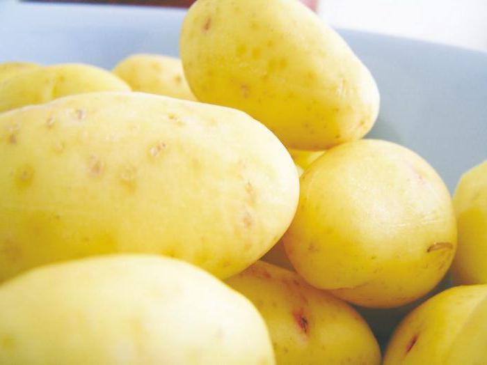 технология выращивания картофеля