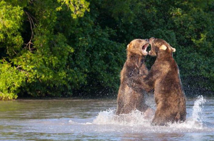 где находится курильское озеро