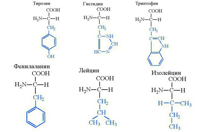 Названия аминокислот