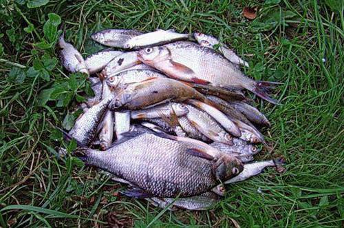 Отзывы о рыбалке в Анапе