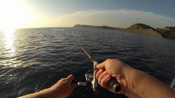 Морская рыбалка в Анапе