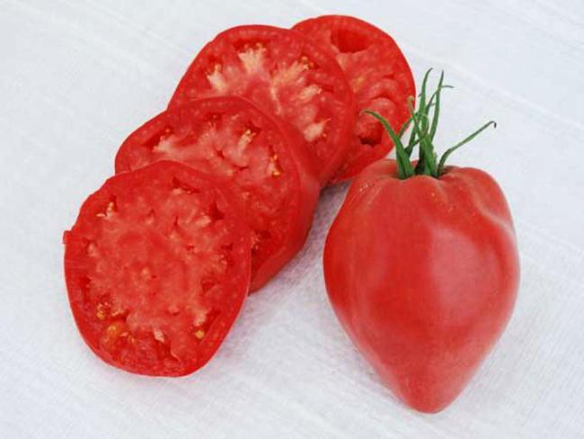 сорт томатов "Воловье сердце"