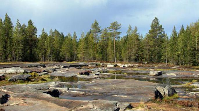 беломорские петроглифы как добраться самостоятельно