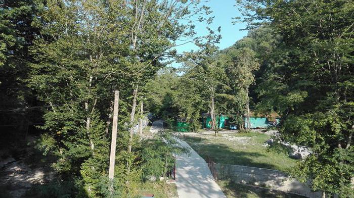 поселок новомихайловский турбаза приморская