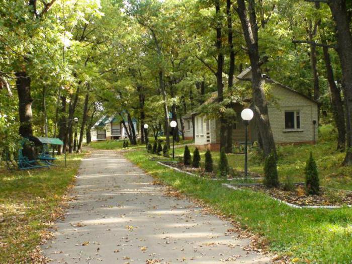 река битюг воронежской области