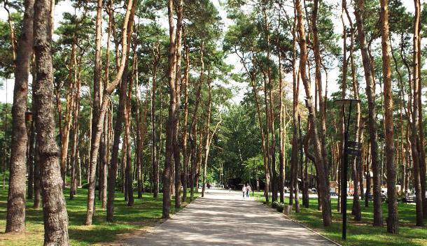 парк алые паруса мероприятия