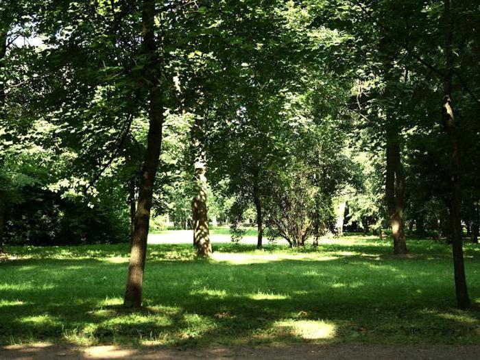 крестовский парк санкт петербург