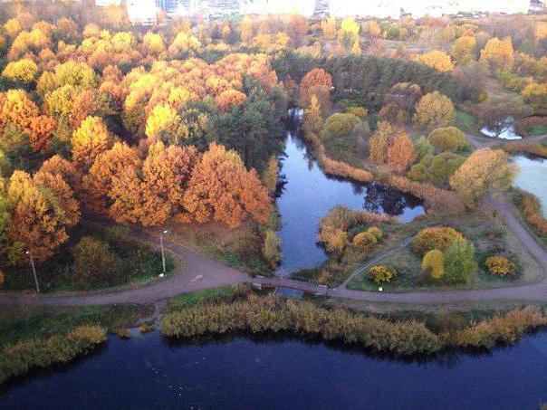 парк александрино санкт петербург фото