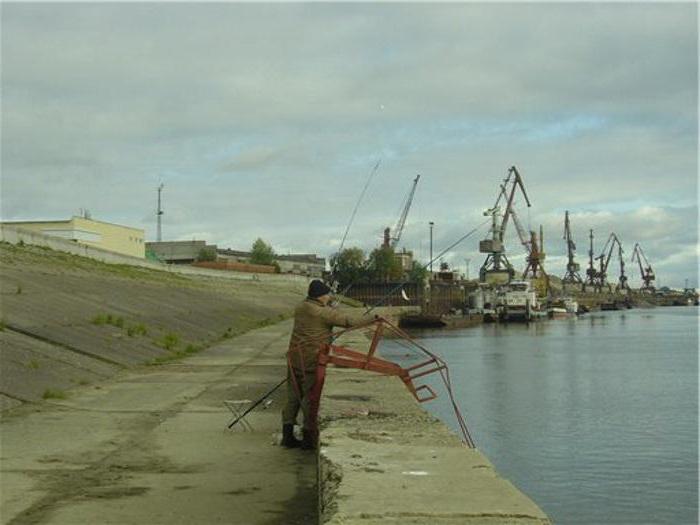 прогноз рыбалки в нижневартовске