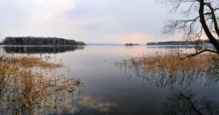 Заславское водохранилище фото