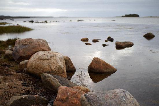 на рыбалку на белое море