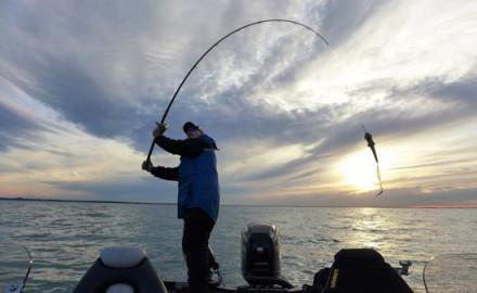 Рыбалка на южной дамбе финского залива