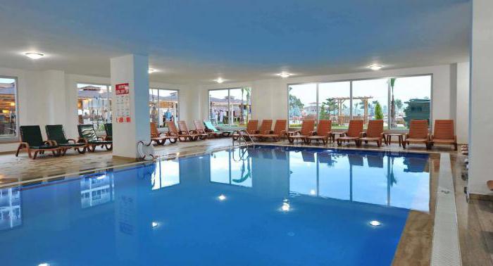 eftalia splash отзывы
