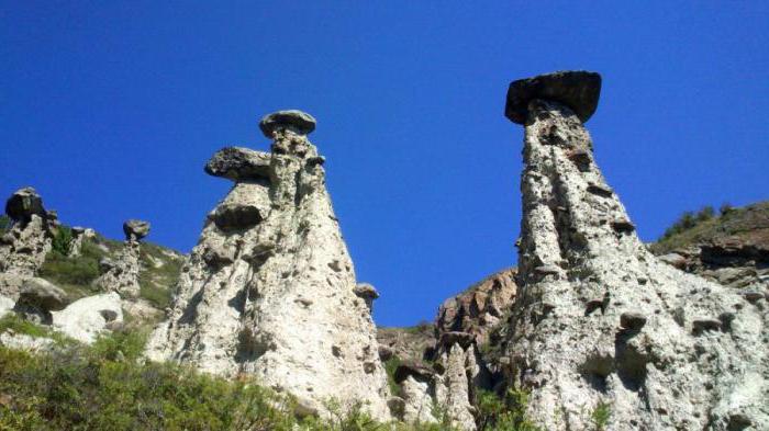 каменные грибы чулышманской долины 