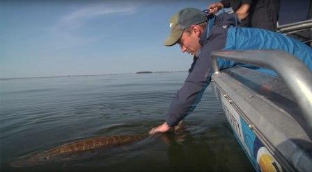 волжско камские водохранилища