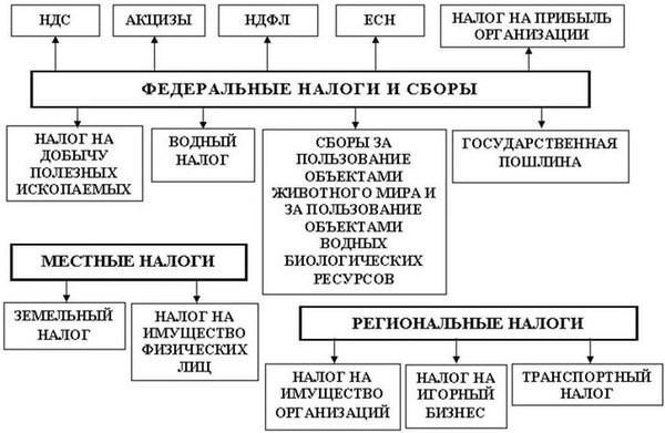  виды налоговой системы государства