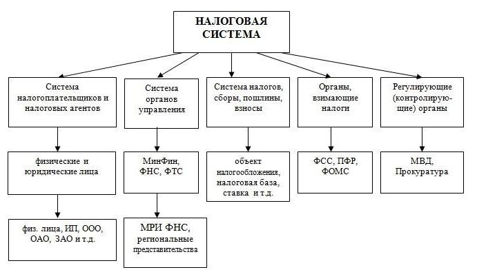 налоговая система виды и функции налогов