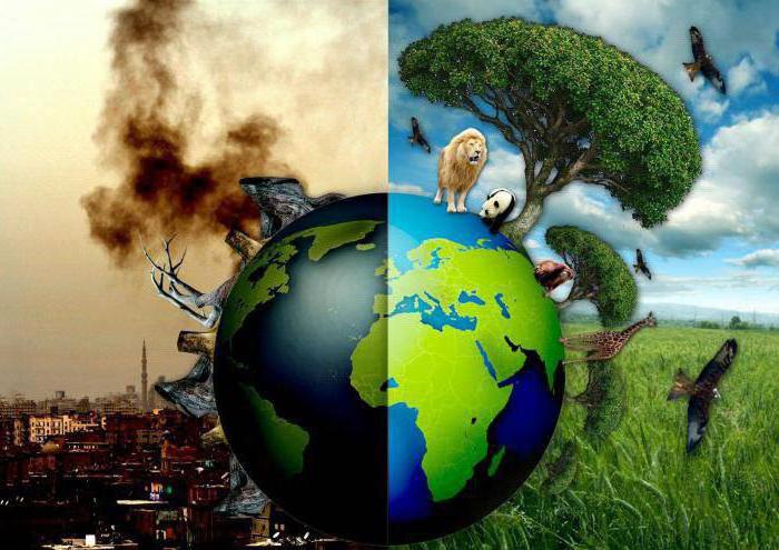 экологические катастрофы
