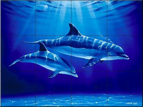 панно дельфины плитка
