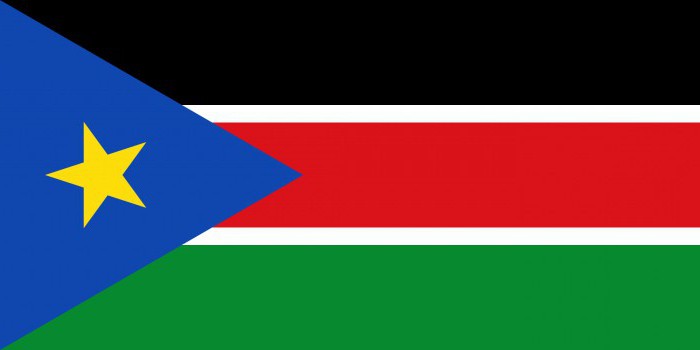 как выглядит флаг южный судан 