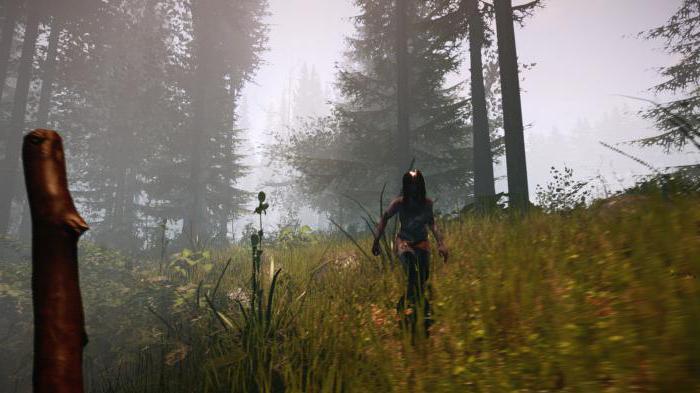 Игра The Forest: обзор, дата выхода, системные требования