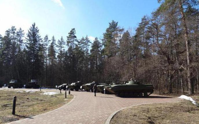 партизанская поляна брянск