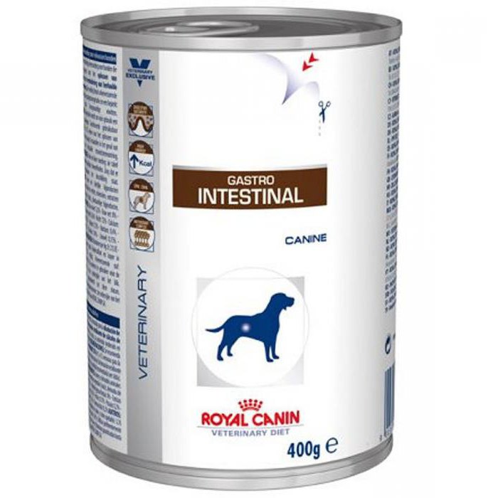 royal canin gastro intenstinal