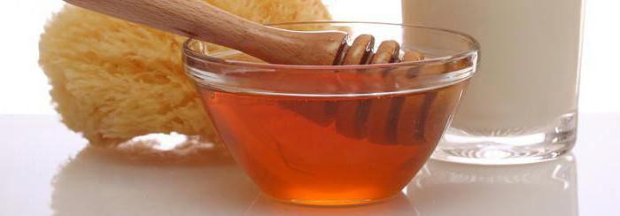 мед эвкалиптовый полезные свойства и противопоказания
