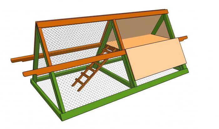 как построить зимний курятник своими руками 