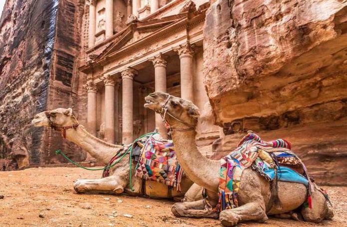 отдых в иордании в ноябре отзывы туристов