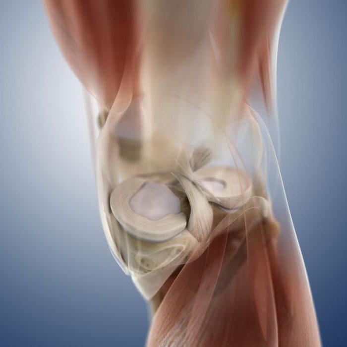Что такое мениск коленного сустава? Какие бывают повреждения и как их диагностировать