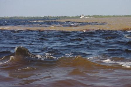 средняя соленость балтийского моря