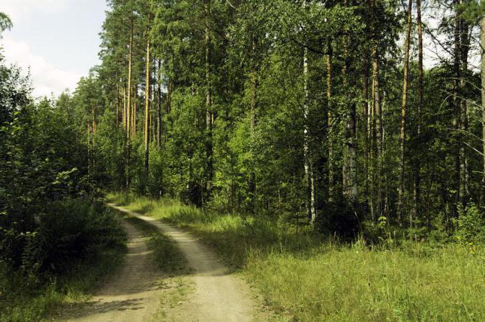 Заповедник Ленинградской области